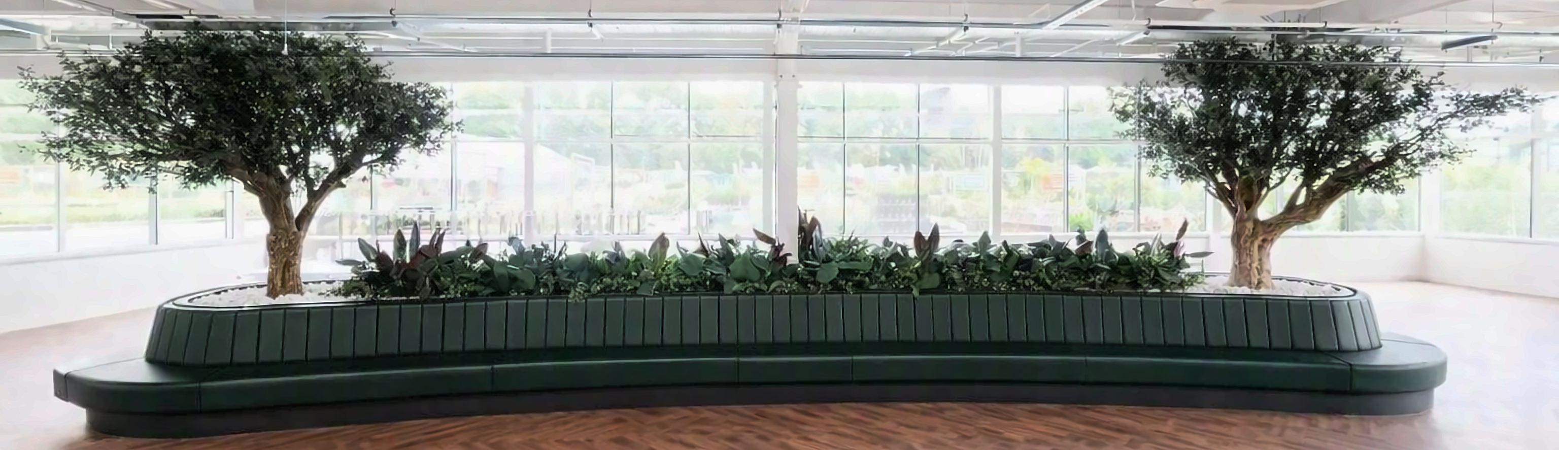 Long curved green feature banquette surrounding indoor planting